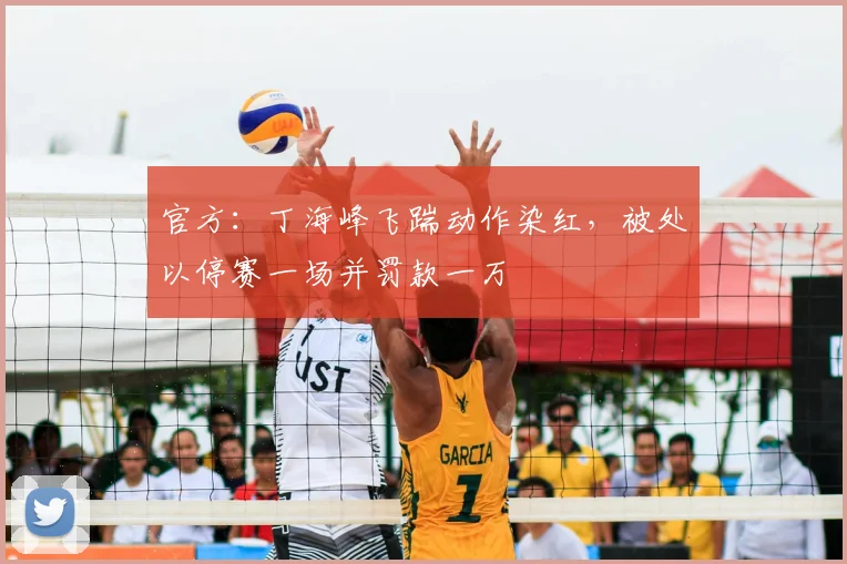 官方：丁海峰飞踹动作染红，被处以停赛一场并罚款一万