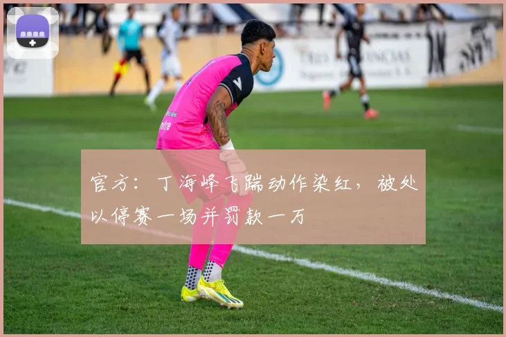 官方：丁海峰飞踹动作染红，被处以停赛一场并罚款一万